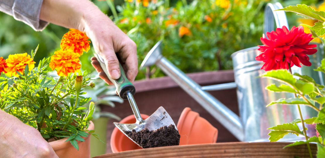 Top 10 Tips for a Successful Gardening Journey