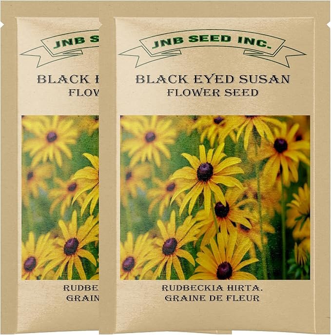 Yellow Black-Eyed Susan flowers in full bloom under the sun