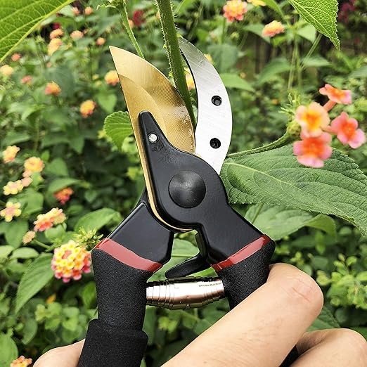 Gonicc 8" Professional Premium Titanium Bypass Pruning Shears (GPPS-1003) Hand Pruners Garden Clippers.