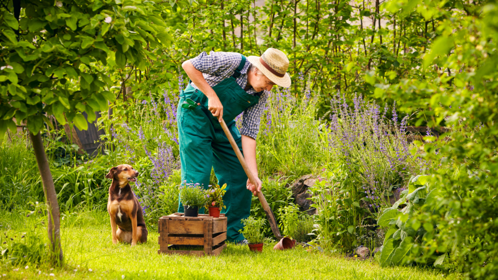 Bestselling Gardening Products From Amazon