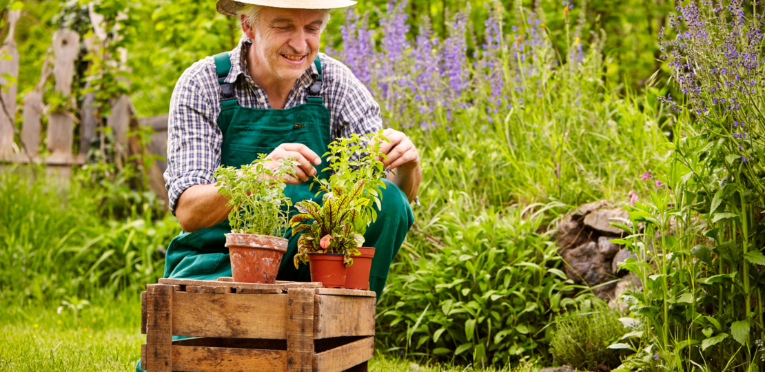 Bestselling Gardening Products From Amazon